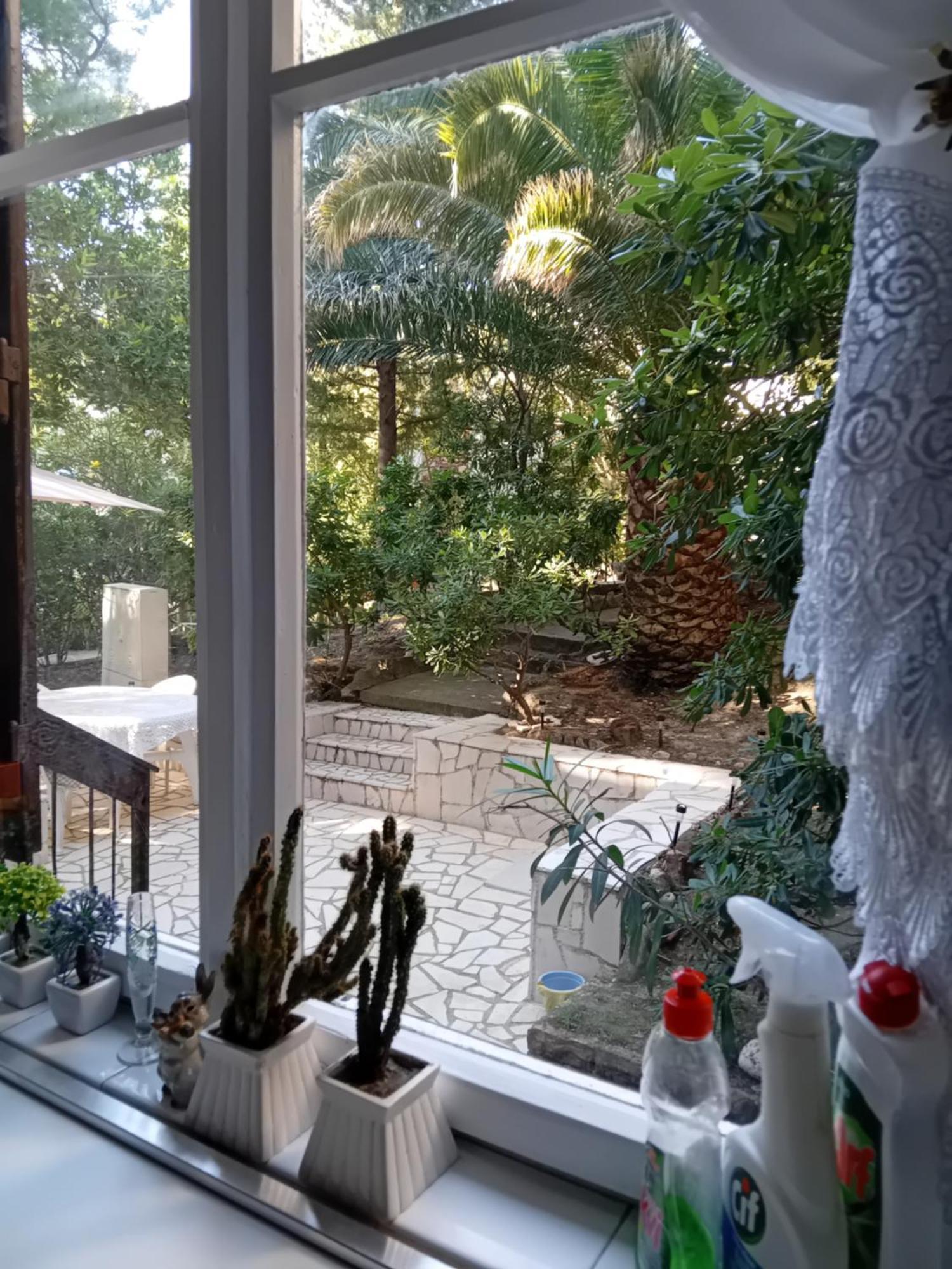 Apartment Botanicheskiy Sad 苏托莫雷 外观 照片