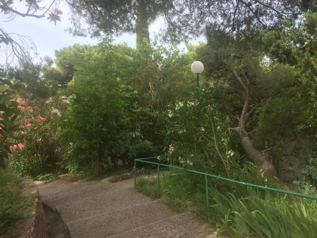 Apartment Botanicheskiy Sad 苏托莫雷 外观 照片