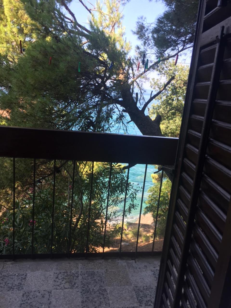 Apartment Botanicheskiy Sad 苏托莫雷 外观 照片